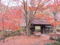 東京・町田～朝食ビュッフェからの薬師池公園＆遺跡めぐり