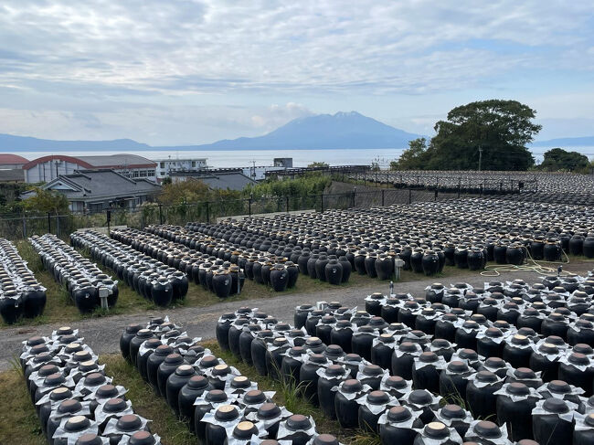 美味しいもの、癒しを求めて・・<br /><br />12/11 鹿児島市<br />12/12 鹿児島市<br />12/13 国分・伊佐<br />12/14 霧島温泉<br />12/15 鹿児島市