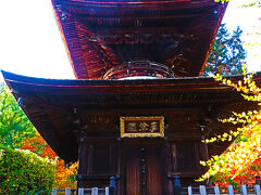 嵯峨嵐山-9　小倉山 常寂光寺　多宝塔～嵯峨野一望　☆圧巻の全山紅葉　楓大木-200本以上