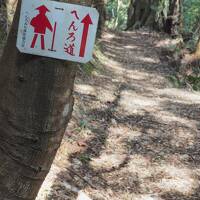 四国八十八ヶ所歩き遍路20日目([第39番]延光寺)