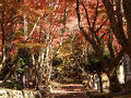 滋賀・鶏足寺の紅葉を見に行ってみました。