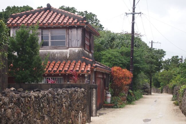 やっと昨年年末の八重山ツアー<br />5つの短編にしてしまい最後の1つアップ<br />繋がったかな<br /><br />マイルがたまり<br />JALどこかにマイルで3泊八重山に<br />熊本、岡山、大阪伊丹、石垣リクエスト<br />予感的中し羽田~石垣<br /><br />この時期天気悪い日多い<br />初日<br />夜石垣着ゲストハウスエミックス泊 <br />2日目<br />八重山観光フェリー3日間かりゆし周遊券<br />快晴の小浜島・西表島アイランドホッピング<br />楽しい民謡酒場の夜の一日<br />3日目<br />西表島大原往復<br />食堂でランチ食べるだけ<br />そして竹富島への本編です<br /><br /><br />順不同でUPし<br />分かりづらく申し訳けありません<br /><br />①JALどこかにマイルで石垣、JAL973便ほとんど雲上飛行だけどの搭乗記<br />https://ssl.4travel.jp/tcs/t/editalbum/edit/11948721/<br />②朝から虹を見たかい~八重山諸島アイランドホッピング&石垣ナイト編<br />https://ssl.4travel.jp/tcs/t/editalbum/edit/11948831/<br />③天気悪し西表大原へランチするだけ八重山フェリー船旅編<br />https://ssl.4travel.jp/tcs/t/editalbum/edit/11949022/<br />④本編<br />⑤JALどこかにマイルで石垣3泊ツアー、帰り石垣~羽田JAL972便搭乗記https://ssl.4travel.jp/tcs/t/editalbum/edit/11949175/<br /><br /><br />