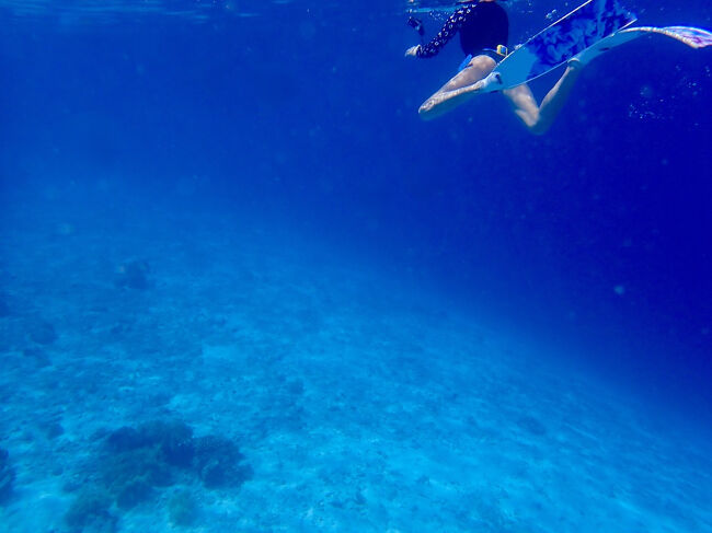 タイさんの旅 インドネシアから東へ 13日目。東ティモール、アタウロ島からディリへ