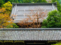 福井　2023