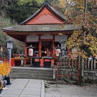 初香川　念願の金毘羅宮へしあわせ参り