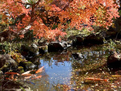茨城県西 紅葉絶景めぐり こんな素敵な所あったのよ～。