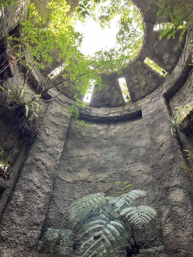 JALの期限間近のマイレージを使って秋の旅を計画しました。<br />行先は四国の高知。<br />司馬遼太郎の龍馬が行くが学生時代の愛読書。<br />大河ドラマでも注目していました。<br />それと鉄道好き(だった)小さい時の息子の電車のビデオを見る中で<br />印象的だった清流、四万十川へのあこがれ。<br />最近の朝ドラでお気に入りだったらんまんのモデルになった<br />牧野博士の牧野植物園。<br />本当は11月中に予約を取りたかったのですが、とれず<br />12月の予約となりました。それが吉とでるかどうか。<br />他にも興味をそそるアクテビティ参加。<br />高知在住の友人からの情報で<br />色々計画が立てられました。<br /><br />ご覧ください。<br /><br />12/13 羽田空港~高知龍馬空港 高知のホテル泊<br />★12/14 はりまや橋~商店街~高知城~牧野植物園~四万十川佐田沈下橋~足摺岬ホテル泊<br />12/15 足摺岬~四万十川~仁淀川くらうど泊<br />12/16 仁淀川~桂浜~高知市内~高知龍馬空港~羽田空港