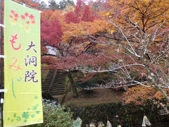 静岡県森町　紅葉を見に