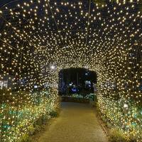 2024年12月　近場の休日２　栄でイルミネーション