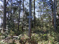 京都 京田辺 甘南備山(続)(Kannabi Mountain Hiking(cont.),Kyotanabe,Kyoto,Japan)