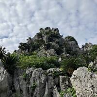 やんばるさんぽ