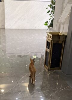 秋分の日三連休プラスα寧波の旅　其の六