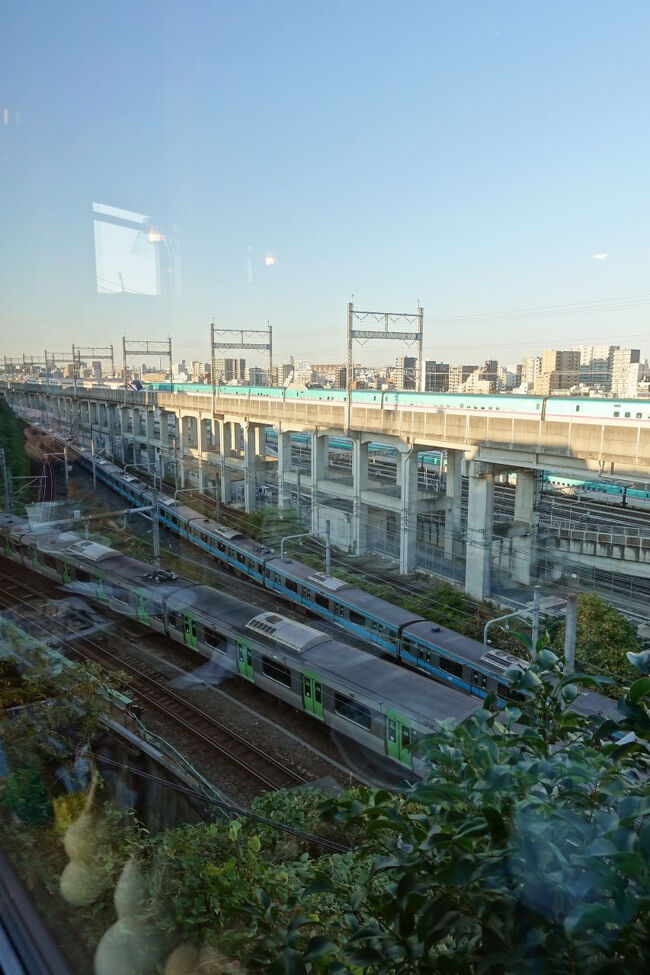 2024年最後の、我が子の外来診察上京。午後は池袋から都電に乗り、王子から田端を巡ってみました。<br /> 電車のトンネルの上に建つカフェからは、新幹線と山手線・京浜東北線が一望。しかし、仮に電車が見えなかったとしても通いたい!と思えるほどの、素敵なカフェでした。<br />