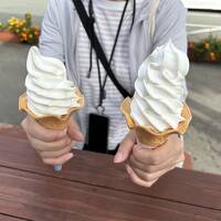 お嬢と行く南九州3泊4日【その47】"道の駅 阿蘇" で、阿部牧場 と モーモーファーム竹原牧場 の "ソフトクリームを食べくらべ"！