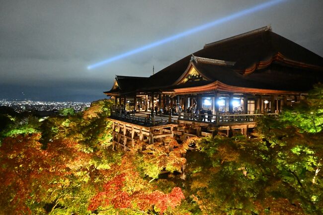 紅葉狩りのスペシャルイベントを目掛け、秋の京都へ!<br /><旅程><br />2024/11/16 東京-京都 京都泊 ★ <br />2024/11/17 京都-東京