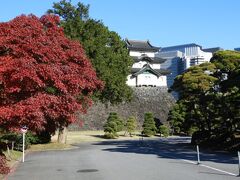 【赤犬の尻尾】初めての東京見物 -1-