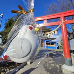 【JAL】どこかにマイルで日帰り空の旅☆青森県：三沢市～八戸市