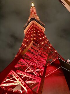 東京タワー散策へ　イルミネーション鑑賞