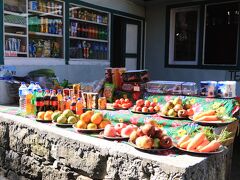 エベレスト街道トレッキング 2024 /９日目(11/26)