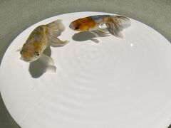 食べ歩き