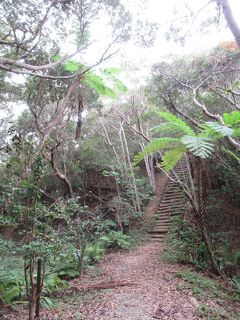 那覇・名護・本部5日間　その2