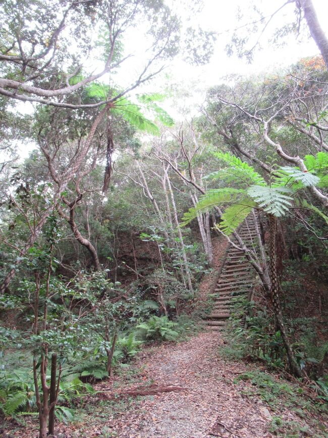 那覇・名護・本部5日間　その2