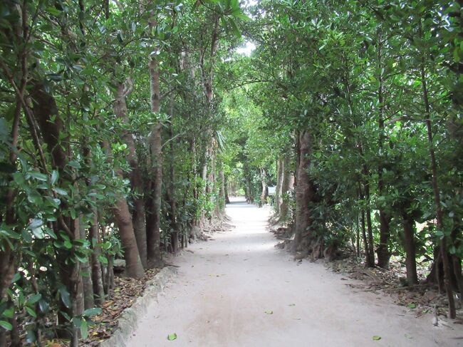 名護・那覇・本部5日間　その3