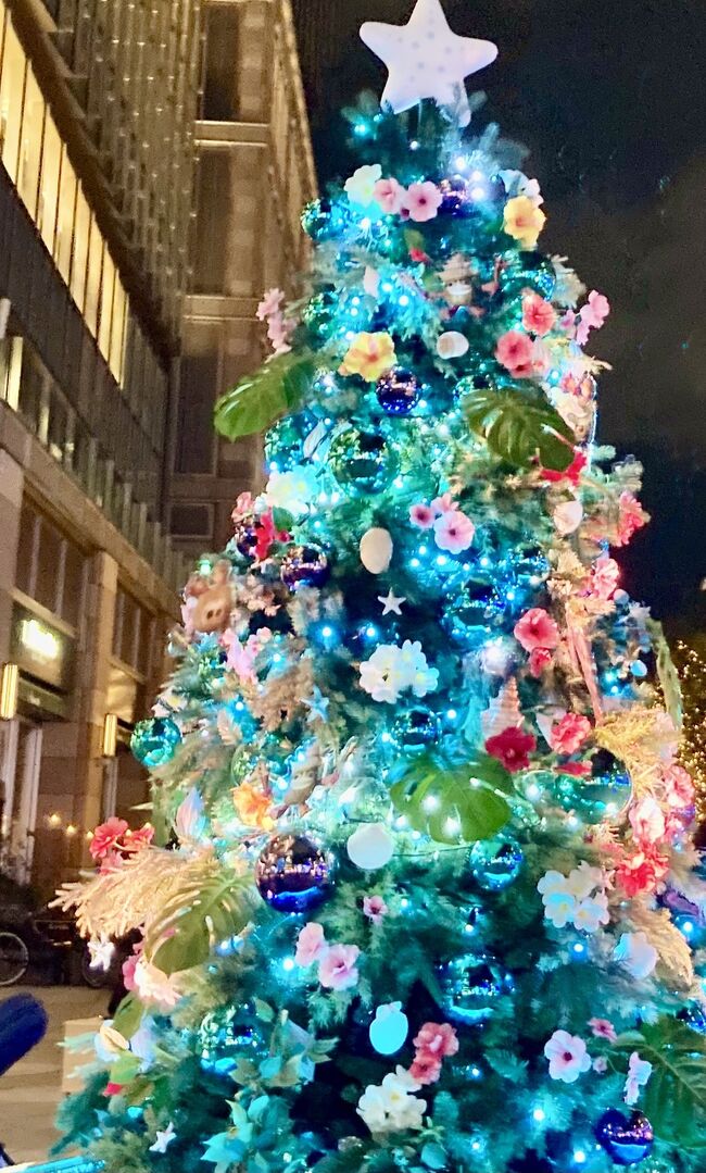 東京駅・日比谷散策へ　クリスマスイルミネーション
