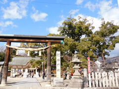 2025年JOECOOL家のお正月（中華「はっちん」、カフェ「シャンドゥルール」、中宮寺、龍田神社など）