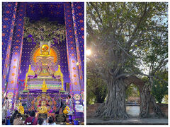 タイで過ごす年末年始・アユタヤ編～～♪♪（人気沸騰！紫の美しい寺院＆時の扉を抜ける寺院：01/02午後）