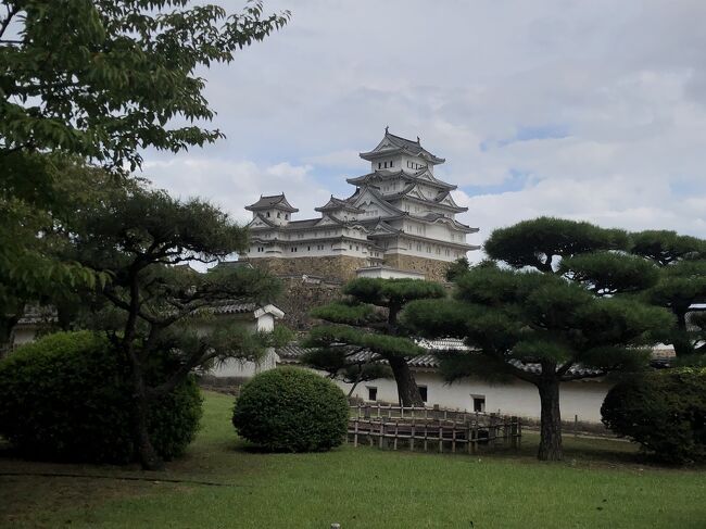 ハワイ渡航に神経を使い過ぎて、ここ1年ほどの旅行記が下書きの状態で貯まっていました。1年以上も前の旅行記を公開するのも恥ずかしい話ですが、下書きで置いておいてもしょうがないので公開する事にしました。<br /><br />まだまだ10本ほど下書きが(汗)<br /><br />---------------------------はじまりはじまり------------------<br /><br />2023年8月のマウイの大火以降、作品や個人のSNSなどでラハイナの日系組織へのドネーションを募りました。<br /><br />その際「9月にホノルルで発表会があるので、マウイに足を伸ばして直接届けます!」と謳いました。<br /><br />その渡航直前に兵庫2ヶ所での発表会があり、その際もラハイナは日系移民の町でもあったことを訴えました。<br /><br />この2日の発表会でも、決して少なくないドネーションが集まりました。<br /><br />そしてこの旅の週末、皆さんの想いを預かってハワイに向かいました。