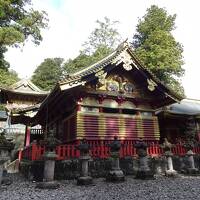 母親と特典航空券で2泊3日栃木の旅☆2日目　日光東照宮～鬼怒川温泉