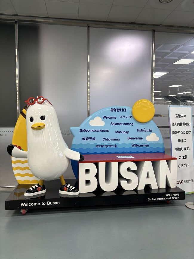 またまた備忘録の旅行記。ハワイ島旅行記止まったままだけど、先に一気に釜山を仕上げてしまおう。<br /><br />JK1年生の娘は、次からはハワイには着いていかないと。<br />韓国は行きたい、とのことでソウルか釜山迷ったけど、初釜山に行くことにしました。<br />行ってみて、釜山サイコー!ってなりました。<br />JK世代も買い物楽しめるし、子連れでも行くところ沢山あるし、私よりひと世代上くらいの夫婦でグルメ楽しまれてる方多かったし、色んな世代が楽しめる街だと思う。<br />k-popの事務所巡りなんかするのはできないけどー。<br /><br />パパは、釜山に何しに行くん?<br />同僚は、釜山ってオッサンが行くところやろ?<br />4トラ民の方や、韓国好きの方はこんなこと思わないだろうけど、昔の韓国のイメージしか無い人、まだまだけっこういてはる。<br /><br />いやいや、オシャンなカフェいっぱいやし、流行りの服めちゃ買えるし、街がキレイやし、映える場所沢山で、ソウルに比べて道路もキレイ、ソウルで至る所で下水の匂いしたのに、全然匂わない!<br />ゴッタ返す人々、世界各国の観光客の混ざった匂いが店内に充満して、それがプチストレスだったけど、釜山は皆無!オバチャンの圧、釜山の方がマイルドだしあたたかい!<br /><br />ソウル行った時は、インスタで見るようなところ行ったんだけど、私たちが行くところ行くところ、日本人だらけ(主に20代の若い女子達orおばさんグループ)で地元の人あんまりみなかったけど、釜山は韓国人の観光客も日本人も中国人もまんべんなくいた。<br /><br />ごはんもおいしいし、空港から市内まで近いし、タクシーも2000円いかないし、真冬でもうちの住んでるところとさほど気温が変わらなかったし、人がすごく優しくて、また釜山来たいな!<br /><br />デモには全く遭遇しませんでした。<br />どこでやってるの?くらい何もなかった。<br /><br />旅費<br />HISで申し込み 112360円(56180×2人分)<br />ホテルエアー別々にとるのとか比較検討したけど、これが1番安かった。