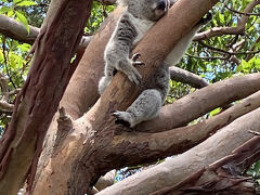 シドニーの旅行記