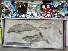 愛犬と行く新春に西伊豆旅行②