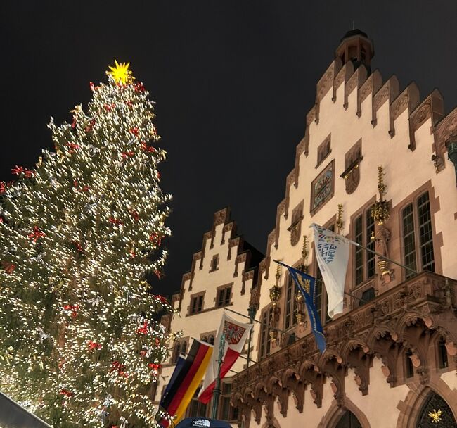 今年の年末年始はお休みが取りやすかったため、ヨーロッパで過ごしました。<br />クリスマス時期のヨーロッパは、とてもおすすめ。<br />最近気に入って、何度か訪ねています。<br />なぜって飛行機、ホテルも安いのに、街が着飾って、人々も幸せムードで、こちらも華やいだ気分になります。何より本場のクリスマスマーケットは、見どころ満載!<br />家族の希望を取り混ぜて、ドイツ・スペイン・ベルギーを周りました。<br /><br />12/21(土) JL 407<br />成田発<br />フランクフルト到着<br /> フランクフルト 1泊<br />12/22(日) ニュルンベルク 1泊<br />12/23(月)~26(木) ドレスデン 3泊<br />12/26(木)~28(土) ワイマール 2泊<br />12/28(土) フランクフルト国際空港 1泊<br />12/29(日) ~12/31(火)<br />LH114<br />フランクフルト発<br />セルビア到着<br />コルドバ 2泊<br />12/31(火)~1/2(木) グラナダ 2泊<br />1/2(木) ~4(土) <br />LH114<br />セビリア発<br />フランクフルト到着<br />ケルン 2泊<br />1/4(土)~7(火) ブリュッセル 3泊<br />1/7(火) JL408<br /> フランクフルト発<br />1/8(水) 成田着<br /><br />成田~フランクフルトのエアーは、JAL特典航空券を利用。<br />ホテルは、コスパの良いところから、贅沢なところまで、緩急つけております。<br />たまにトラブルに遭遇しましたが、謎解きのようで楽しめました。お陰様でとても良い旅行になりました。<br />