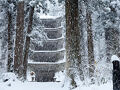 暴風雪の中の五重塔