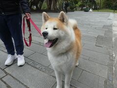 松山文化創園区で秋田犬と出会い、台北101へ