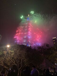 年越しコンサート・年越し花火をベンチで座りながら見る。(インコおばさんと一緒に)