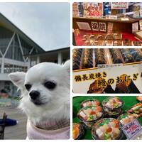 ペットと行く宿  三河西浦温泉 和のリゾート はづ ①ラグーナテンボスフェスティバルマーケットの巻