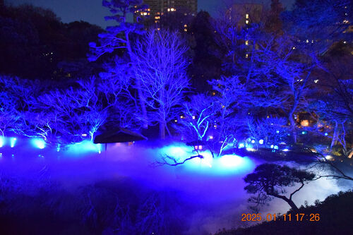 Rain様　幻想世界に輝く奇跡の虹　幻のレインボーシャインプレミアムフローライト 2025 TOKYO BLUE GARDEN WINTER 2024-25 八芳園』白金(東京)の