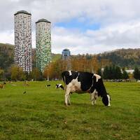 北海道の観光地を巡る旅　大人の休日倶楽部パス利用です！No.1函館とトマム