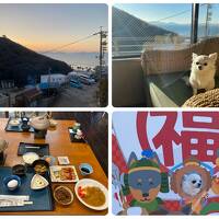 ペットと行く宿三河西浦温泉 和のリゾート はづ ③ホテルステイと朝食ハーフバイキングとわんわん動物園