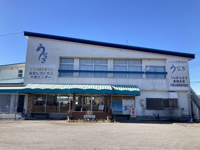 成田山新勝寺の初詣、恐ろしい程激混みの三が日を避け、1月13日に参拝しました。そして、成田のうなぎ街道にある水産センターで、すぐそばで養殖されたうなぎの美味しいうな重をいただきました。