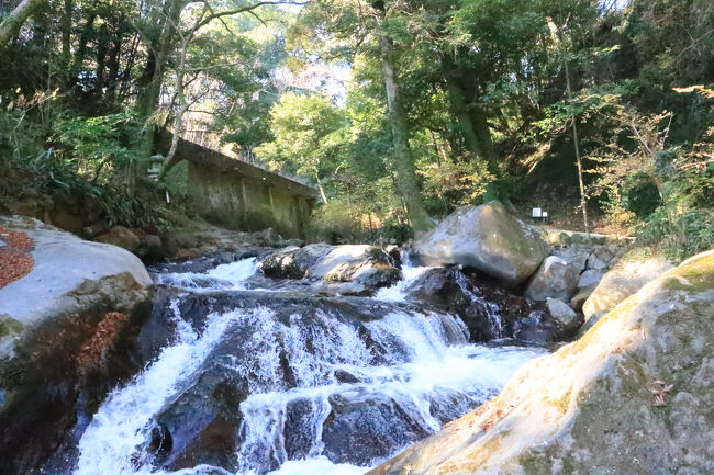 3日め 14,878歩<br /><br />最終日は万葉公園へ散歩。<br />でも、「文学の小径」の一部が通行止め、予定の散策路と違ったため、狸福神社に立ち寄れず、時間を少々持て余し。<br />そのうえ、今日はホテルの年に1度の点検日で、荷物預かりと送迎はOKだったけれど、ホテルで休憩はできない。<br /><br />ホテル…万葉公園…(川のみち)…惣湯テラス…熊野神社…玄関テラス…泉公園…ニューウェルシティー湯河原→(シャトルバス)→湯河原駅…ランチ:わかむら…ちぼりスイーツファクトリー…丸福干物店…湯河原駅→(踊り子号)→東京駅<br /><br />日本海沿岸では大雪、それに比べれば強風も何のその!の2泊3日でした。<br />
