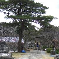 日本百名城巡り1泊2日 （74-75城目 ) 　今帰仁城、中城城