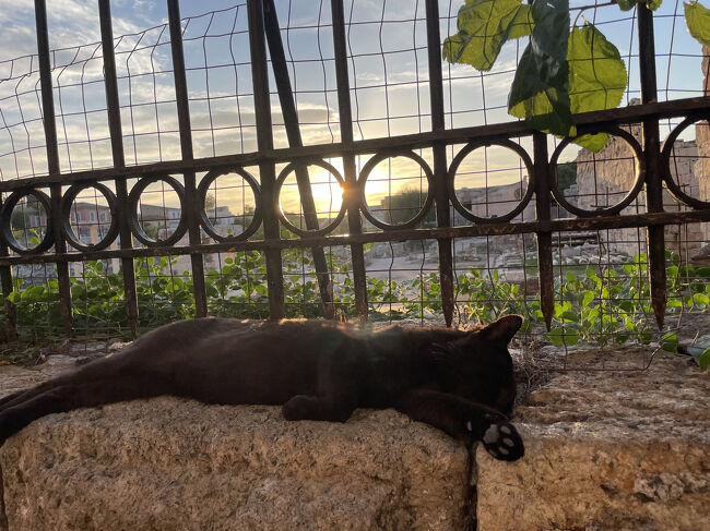 ギリシャ島旅②アテネ編