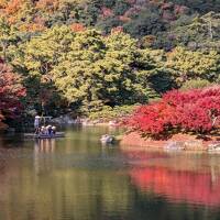 香川はやっぱりうどん、そして栗林公園でしょ。観光とグルメ、王道で締める最終日
