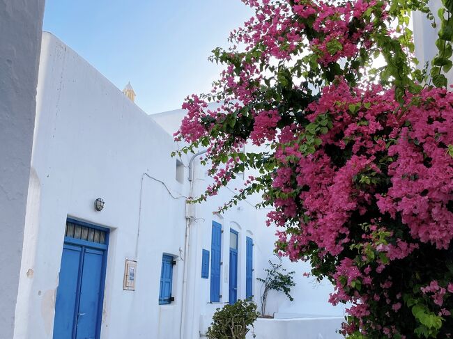 ギリシャ島旅③ミコノス島編