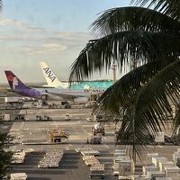 2025年1月ハワイ14泊16日　娘と孫との家族旅行 1日目